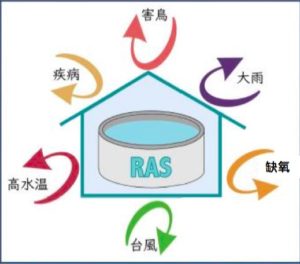 螢幕快照 2020-01-05 06.11.59