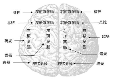 下一代的智慧生活－生物電磁技術介紹